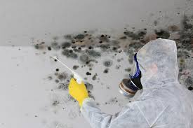 Best Water Damage & Mold Remediation  in Delhi, CA